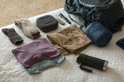 DreamStation Go Auto Travel CPAP